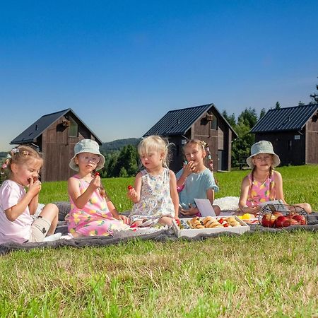 Polana Piorun Domki Wakacyjne W Beskidach Krynica Zdroj Ngoại thất bức ảnh